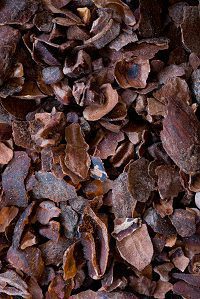 Crushed cocoa beans with husks