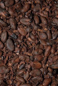 Roasted Cocoa Beans
