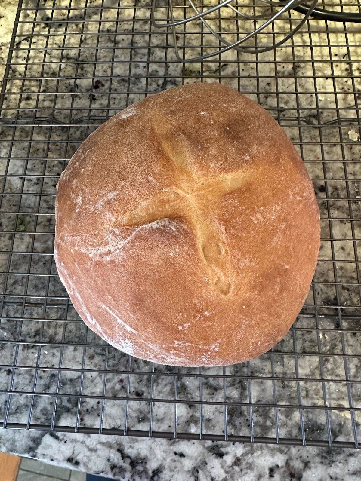 A round loaf of freshly baked bread with a cross cut on top, cooling on a wire rack.