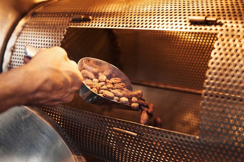 Chocolate making factory worker putting cocoa beans in a roaster