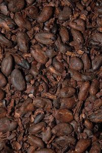 Roasted Coco Beans
