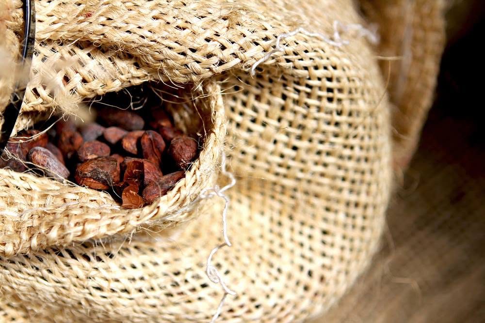 Close-up of roasted cocoa beans visible inside a textured burlap sack.