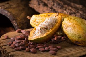 Freshly opened yellow cocoa pod displaying white pulpy seeds alongside whole cocoa beans on a wooden surface.